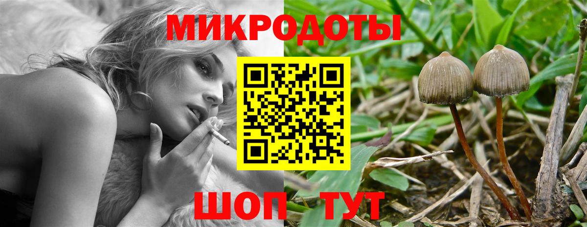 Ефремов  Псилоцибиновые грибы Psilocybine cubensis  Вход с VPN 